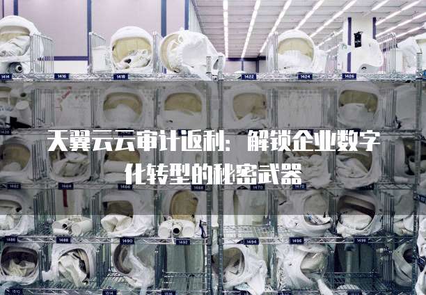 天翼云云审计返利:解锁企业数字化转型的秘密武器