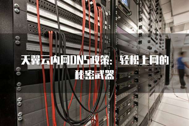 天翼云内网DNS政策:轻松上网的秘密武器
