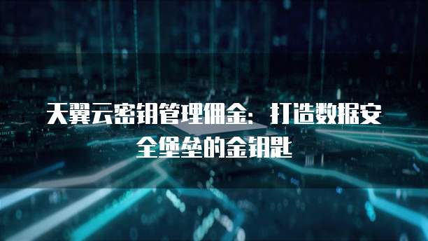 天翼云密钥管理佣金:打造数据安全堡垒的金钥匙