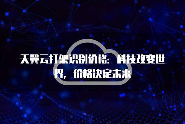 天翼云打架识别价格:科技改变世界,价格决定未来