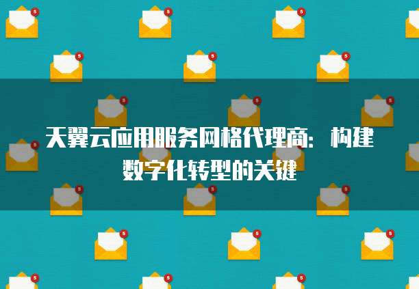 天翼云应用服务网格代理商:构建数字化转型的关键