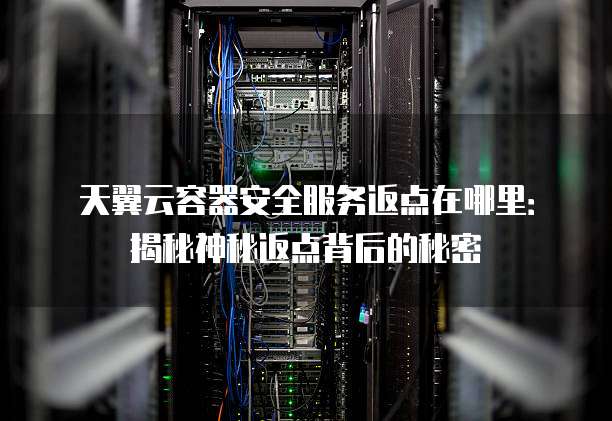天翼云容器安全服务返点在哪里:揭秘神秘返点背后的秘密