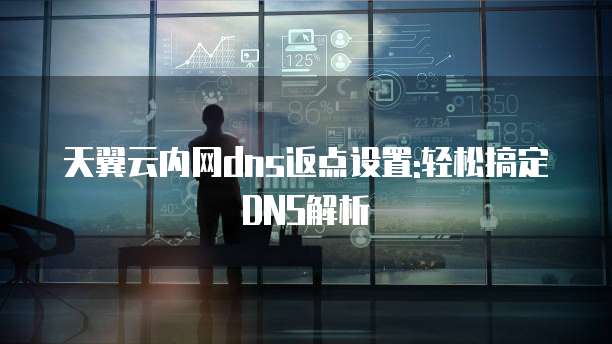 天翼云内网dns返点设置:轻松搞定DNS解析