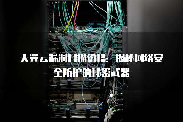 天翼云漏洞扫描价格:揭秘网络安全防护的秘密武器
