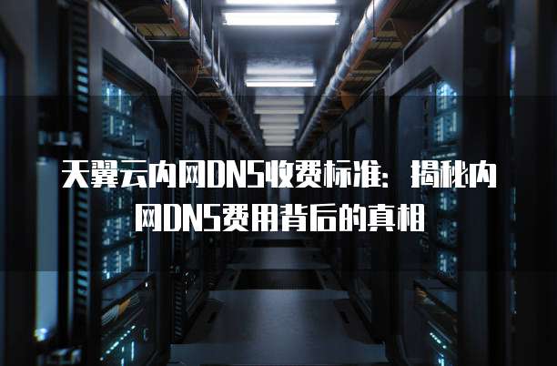 天翼云内网DNS收费标准：揭秘内网DNS费用背后的真相