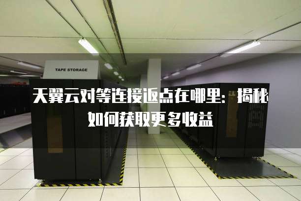 天翼云对等连接返点在哪里:揭秘如何获取更多收益