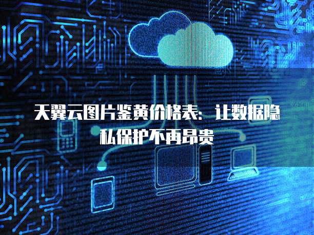 天翼云图片鉴黄价格表:让数据隐私保护不再昂贵