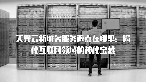 天翼云新域名服务返点在哪里:揭秘互联网领域的神秘宝藏
