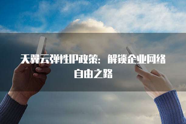 天翼云弹性IP政策:解锁企业网络自由之路
