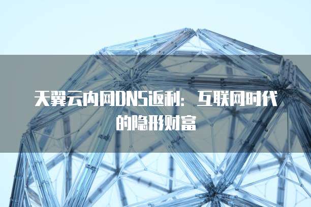 天翼云内网DNS返利:互联网时代的隐形财富