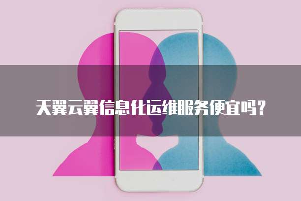 天翼云翼信息化运维服务便宜吗?
