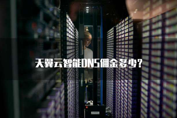 天翼云智能DNS佣金多少?