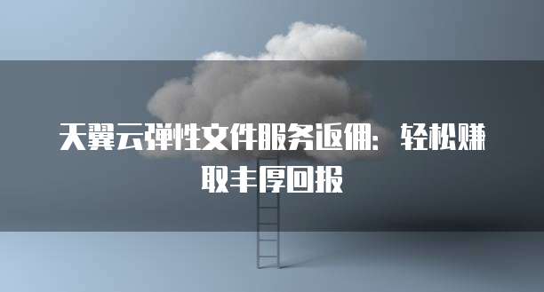天翼云弹性文件服务返佣:轻松赚取丰厚回报