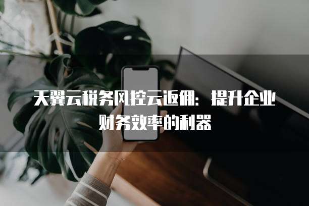 天翼云税务风控云返佣:提升企业财务效率的利器