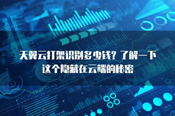 天翼云打架识别多少钱?了解一下这个隐藏在云端的秘密