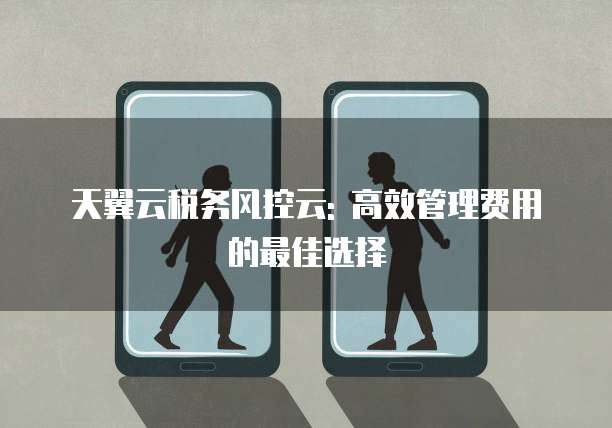 天翼云税务风控云: 高效管理费用的最佳选择