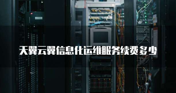 天翼云翼信息化运维服务续费多少