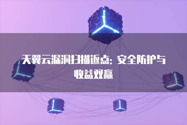 天翼云漏洞扫描返点: 安全防护与收益双赢
