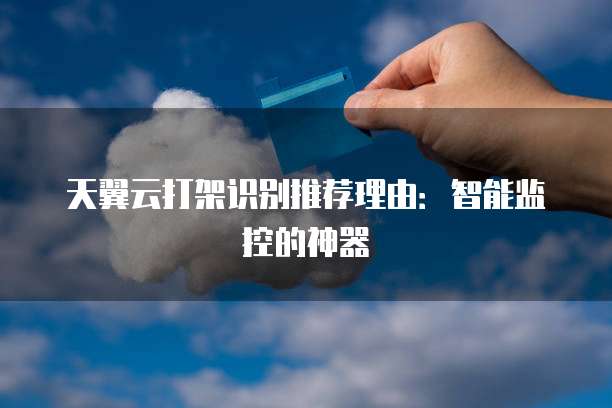 天翼云打架识别推荐理由：智能监控的神器