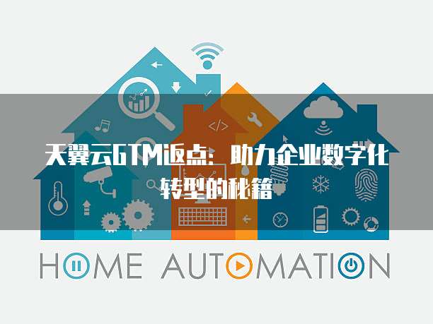 天翼云GTM返点:助力企业数字化转型的秘籍
