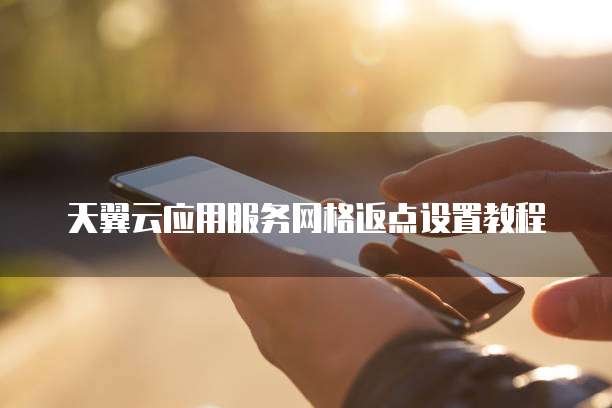 天翼云应用服务网格返点设置教程