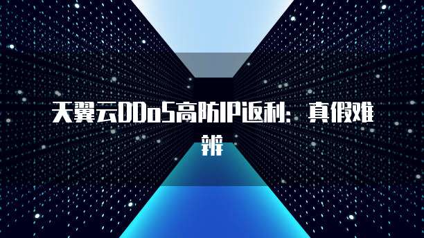 天翼云DDoS高防IP返利:真假难辨