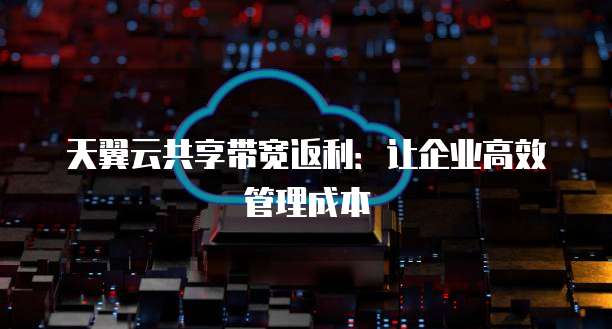 天翼云共享带宽返利:让企业高效管理成本