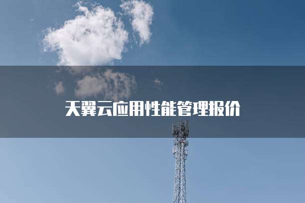 天翼云应用性能管理报价