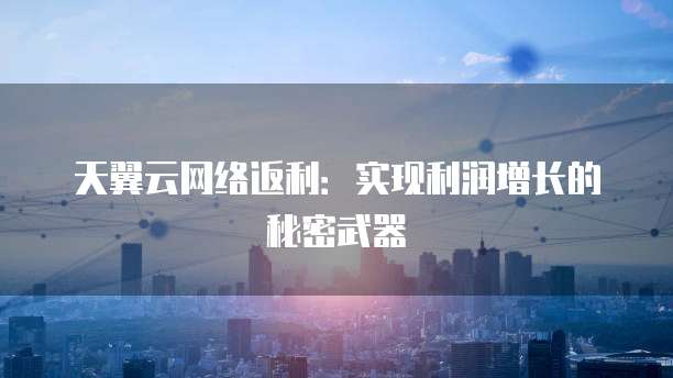 天翼云网络返利：实现利润增长的秘密武器