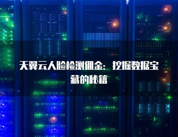 天翼云人脸检测佣金：挖掘数据宝藏的秘籍