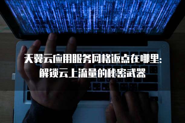 天翼云应用服务网格返点在哪里：解锁云上流量的秘密武器