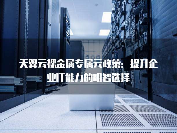 天翼云裸金属专属云政策:提升企业IT能力的明智选择