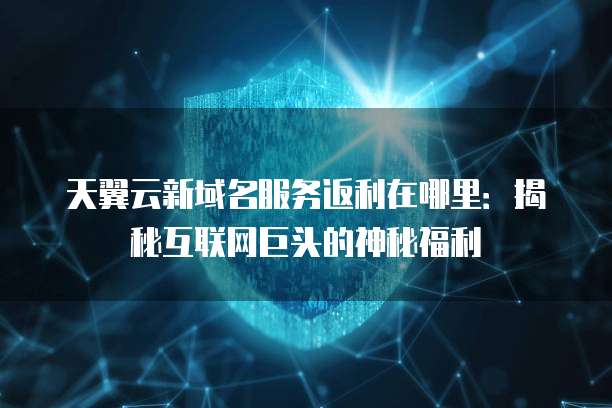 天翼云新域名服务返利在哪里:揭秘互联网巨头的神秘福利