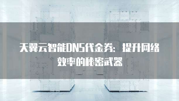 天翼云智能DNS代金券:提升网络效率的秘密武器