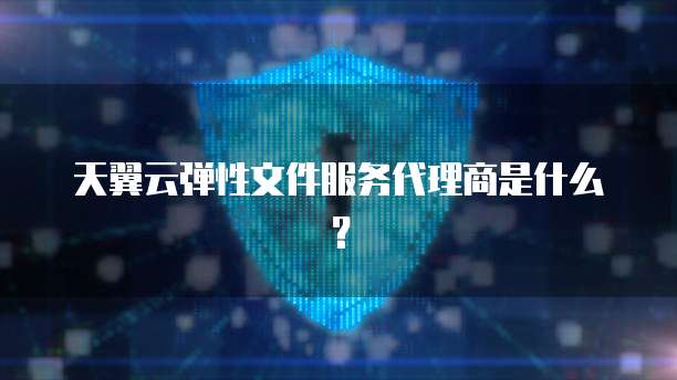 天翼云弹性文件服务代理商是什么？