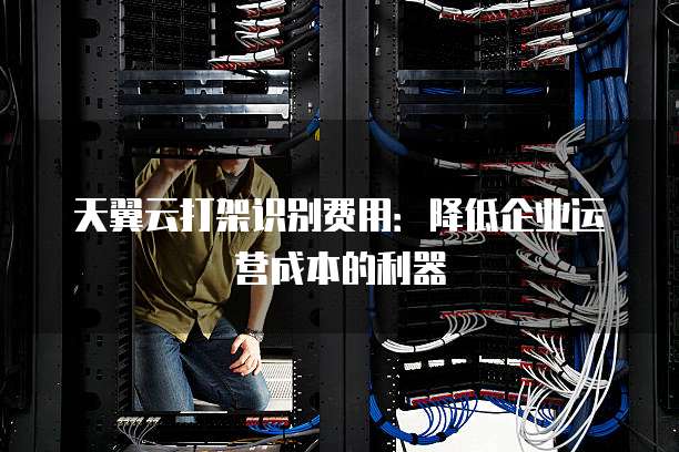 天翼云打架识别费用:降低企业运营成本的利器