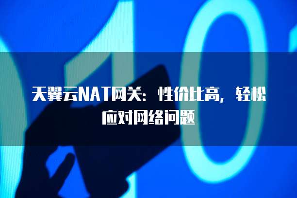 天翼云NAT网关:性价比高,轻松应对网络问题