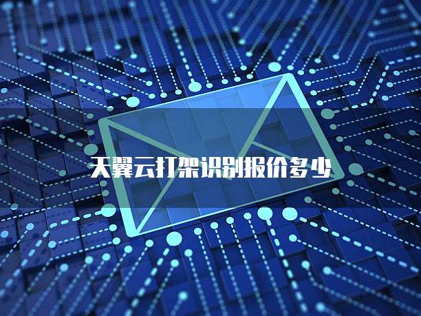 天翼云打架识别报价多少