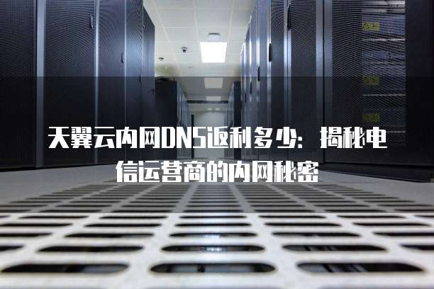 天翼云内网DNS返利多少:揭秘电信运营商的内网秘密