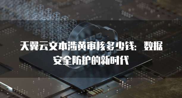 天翼云文本涉黄审核多少钱:数据安全防护的新时代