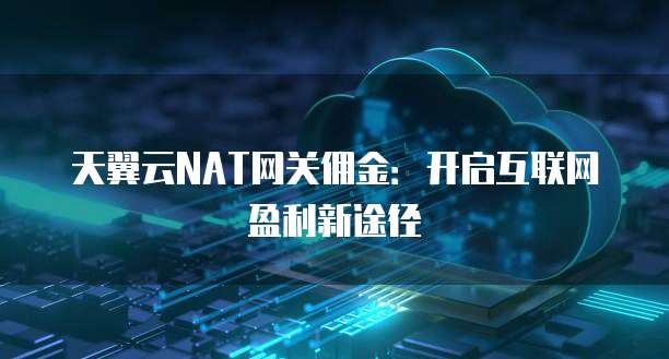 天翼云NAT网关佣金:开启互联网盈利新途径