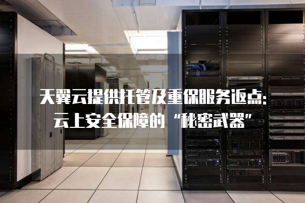 天翼云提供托管及重保服务返点: 云上安全保障的“秘密武器”
