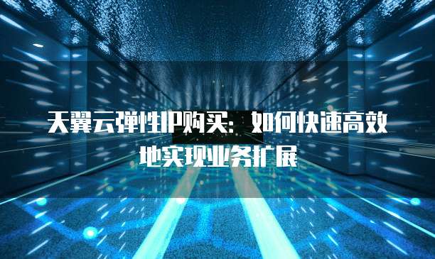 天翼云弹性IP购买:如何快速高效地实现业务扩展