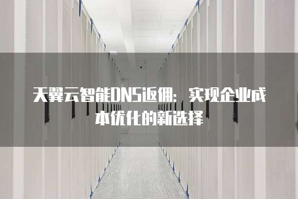 天翼云智能DNS返佣:实现企业成本优化的新选择