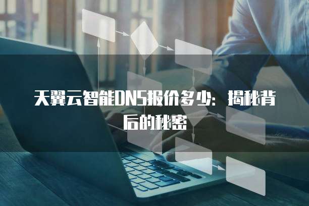 天翼云智能DNS报价多少:揭秘背后的秘密
