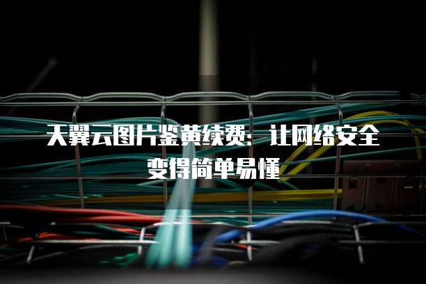 天翼云图片鉴黄续费:让网络安全变得简单易懂