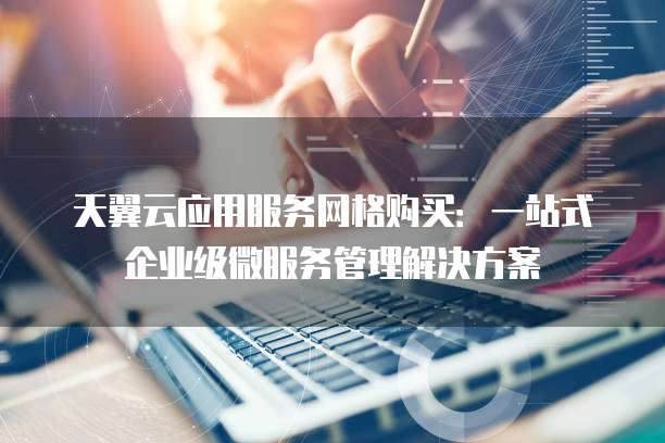 天翼云应用服务网格购买:一站式企业级微服务管理解决方案