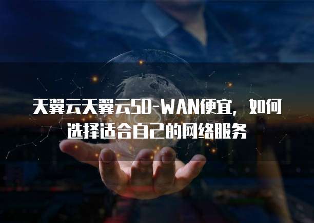 天翼云天翼云SD-WAN便宜,如何选择适合自己的网络服务