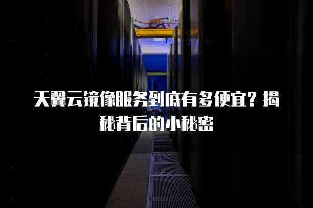 天翼云镜像服务到底有多便宜?揭秘背后的小秘密