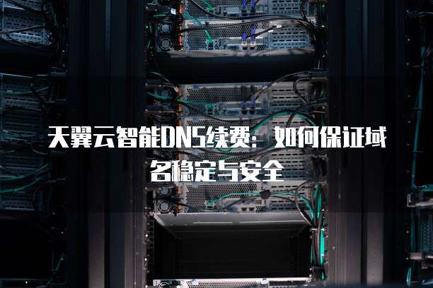 天翼云智能DNS续费:如何保证域名稳定与安全